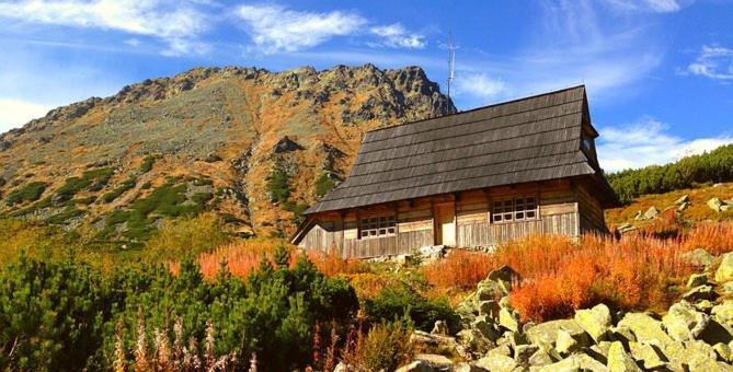 A3Apartament 2 Pokojowy Aneks Kuchenny 2 Lazienki Wlasne Na Korytarzu Villa Jumper Pobyt Na Termach Dla 2 Osob Gratis Zakopane Exterior photo