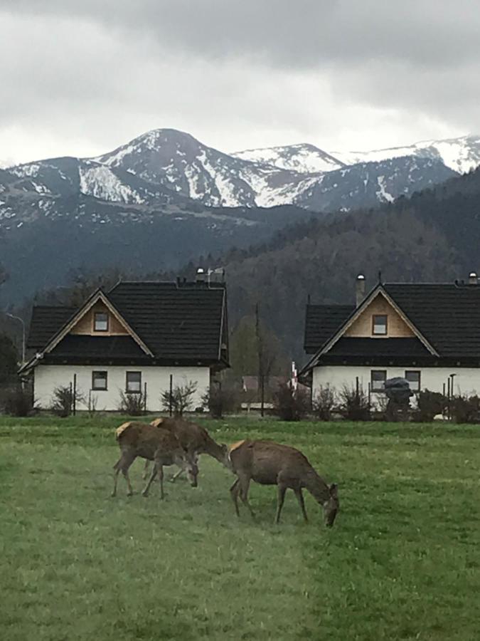 A3Apartament 2 Pokojowy Aneks Kuchenny 2 Lazienki Wlasne Na Korytarzu Villa Jumper Pobyt Na Termach Dla 2 Osob Gratis Zakopane Exterior photo