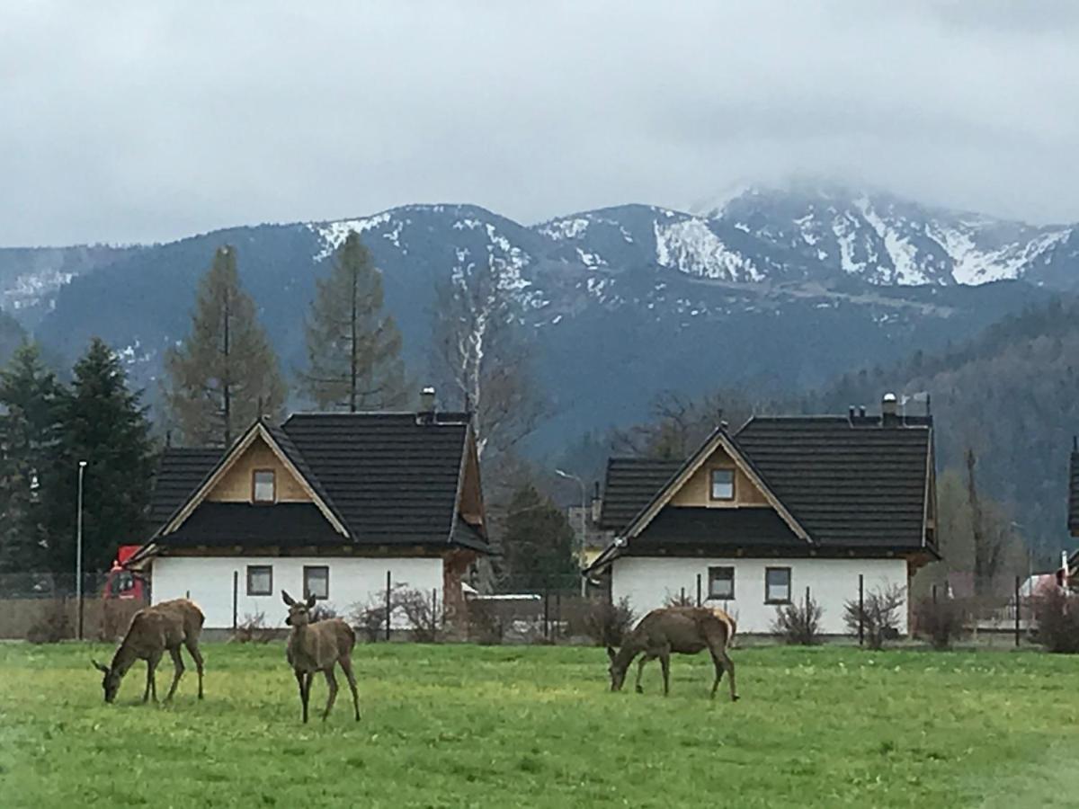 A3Apartament 2 Pokojowy Aneks Kuchenny 2 Lazienki Wlasne Na Korytarzu Villa Jumper Pobyt Na Termach Dla 2 Osob Gratis Zakopane Exterior photo